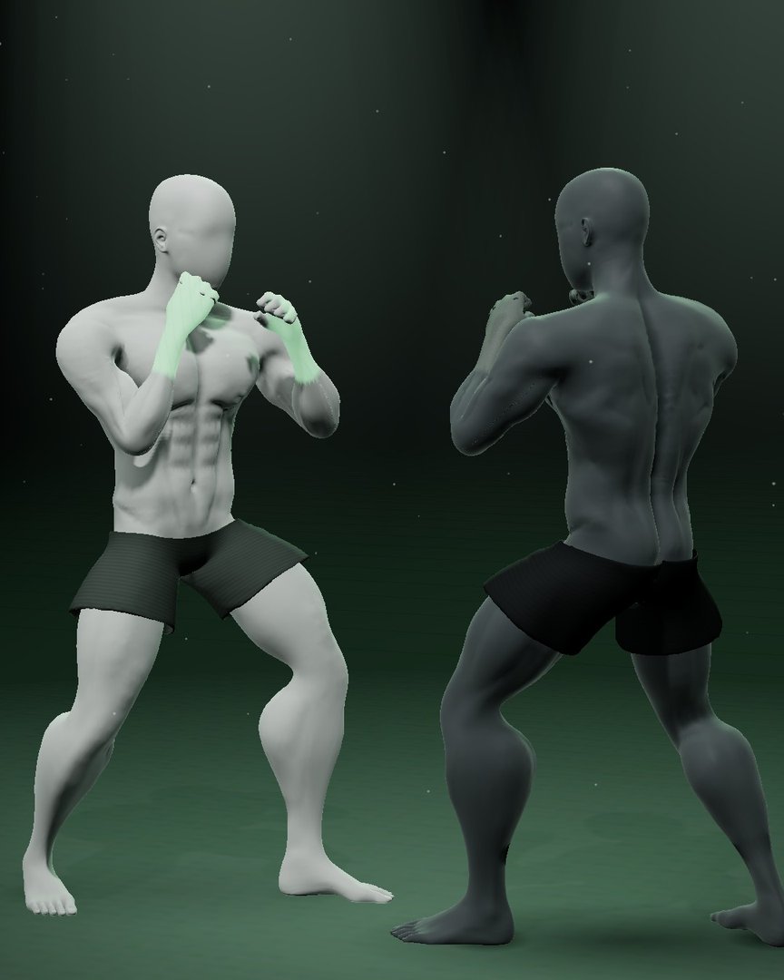 Two fighters squared up, rendered in 3D